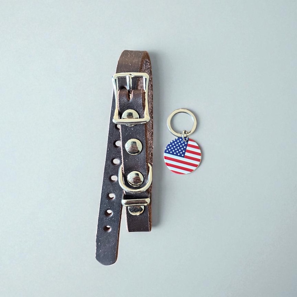 Handmade Brown Leather XS Dog Collar – Classic, Durable, Adjustable Dog Collar